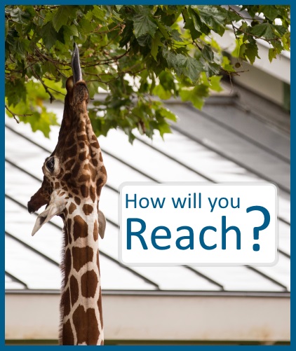 Digital Connections - social media reach